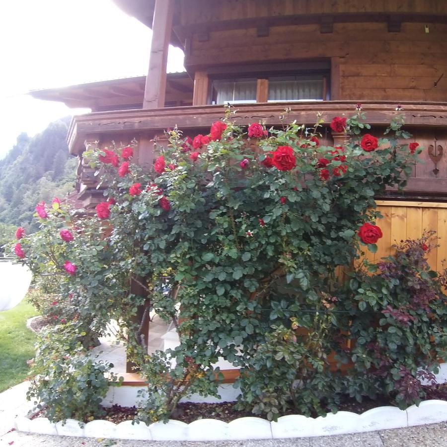 Landhaus Knoflach Neustift im Stubaital Εξωτερικό φωτογραφία